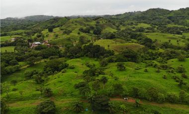 VENTA FINCA EN VERAGUAS PONUGA, LA MARIA