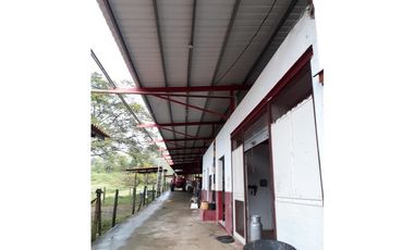 VENTA FINCA EN VERAGUAS PONUGA, LA MARIA