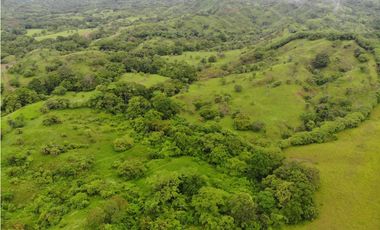 VENTA FINCA EN VERAGUAS PONUGA, LA MARIA