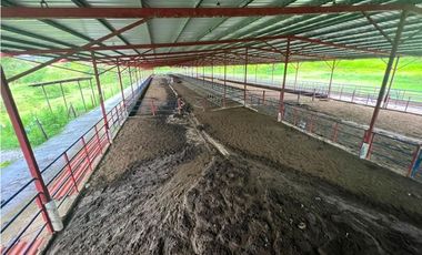 VENTA FINCA EN VERAGUAS PONUGA, LA MARIA