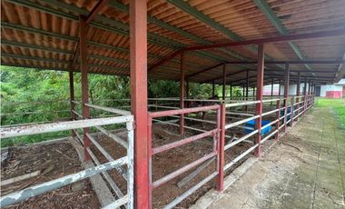 VENTA FINCA EN VERAGUAS PONUGA, LA MARIA