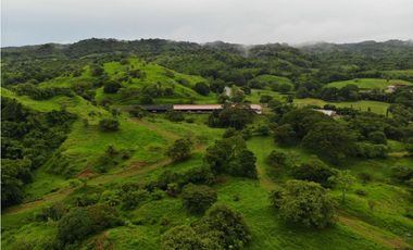 VENTA FINCA EN VERAGUAS PONUGA, LA MARIA