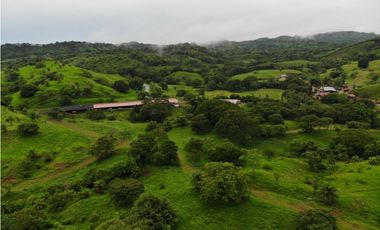 VENTA FINCA EN VERAGUAS PONUGA, LA MARIA