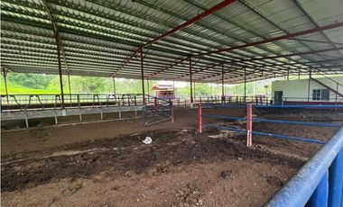 VENTA FINCA EN VERAGUAS PONUGA, LA MARIA