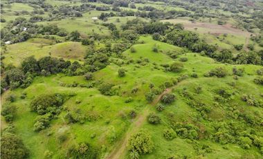 VENTA FINCA EN VERAGUAS PONUGA, LA MARIA