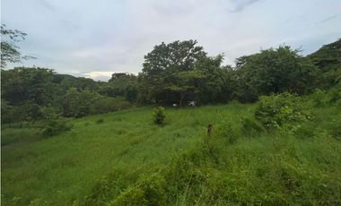 VENTA FINCA EN VERAGUAS PONUGA, LA MARIA