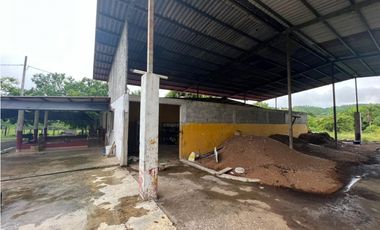 VENTA FINCA EN VERAGUAS PONUGA, LA MARIA