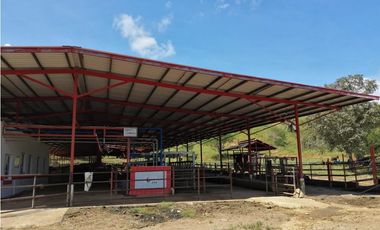 VENTA FINCA EN VERAGUAS PONUGA, LA MARIA