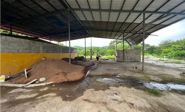 VENTA FINCA EN VERAGUAS PONUGA, LA MARIA
