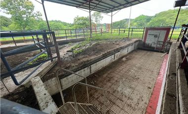 VENTA FINCA EN VERAGUAS PONUGA, LA MARIA