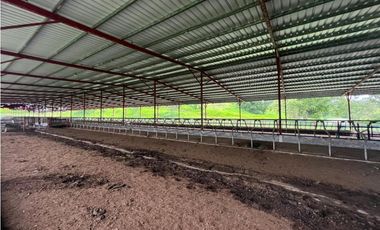 VENTA FINCA EN VERAGUAS PONUGA, LA MARIA