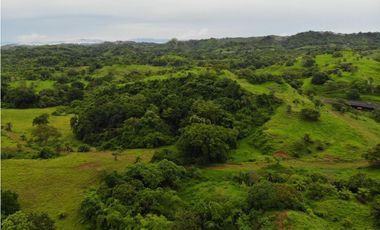 VENTA FINCA EN VERAGUAS PONUGA, LA MARIA