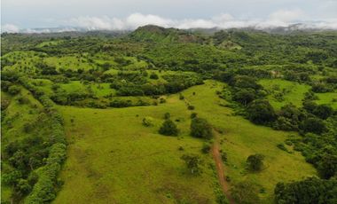 VENTA FINCA EN VERAGUAS PONUGA, LA MARIA