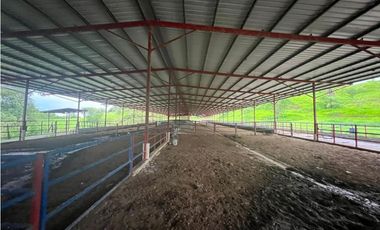 VENTA FINCA EN VERAGUAS PONUGA, LA MARIA