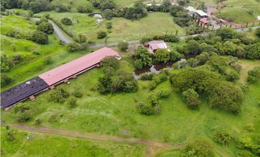 VENTA FINCA EN VERAGUAS PONUGA, LA MARIA