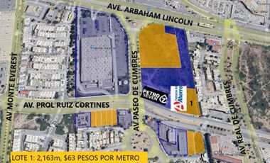 TERRENO EN RENTA CUMBRES FRENTE A REST LA JIRAFA 2163 M2 $ 136.000