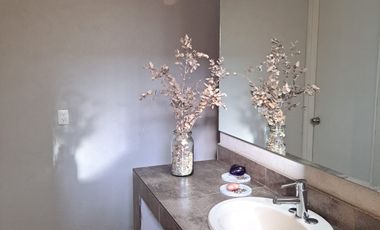 CASA AMUEBLADA EN RENTA EN COL LOMA ALTA SLP