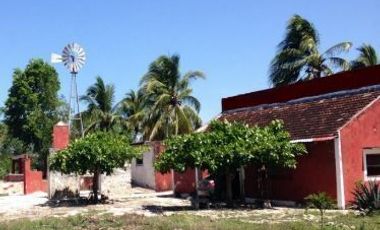 Terreno con casa en Temax Yucatan en venta.