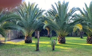 Casa en venta de 3 dorm. en Las Cabras