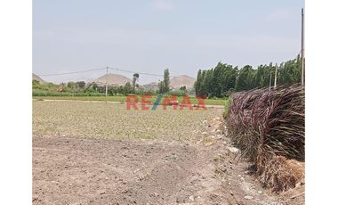 Venta De Terreno De 2.5 Has - ¡Gran Oportunidad De Inversión En Chancay! 🌟