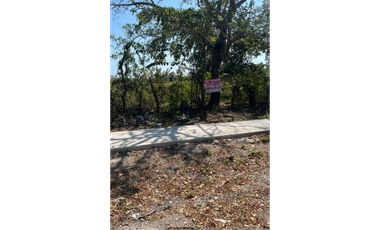 VENDO TERRENO  RIO HATO SUR  CARRETERA HACIA BUENAVENTURA