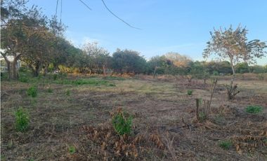 VENDO TERRENO  RIO HATO SUR  CARRETERA HACIA BUENAVENTURA