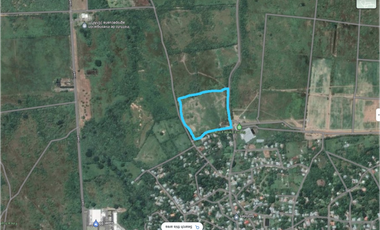 VENDO TERRENO  RIO HATO SUR  CARRETERA HACIA BUENAVENTURA