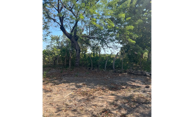 VENDO TERRENO  RIO HATO SUR  CARRETERA HACIA BUENAVENTURA