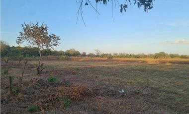 VENDO TERRENO  RIO HATO SUR  CARRETERA HACIA BUENAVENTURA
