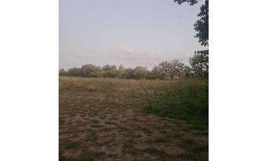 VENDO TERRENO  RIO HATO SUR  CARRETERA HACIA BUENAVENTURA