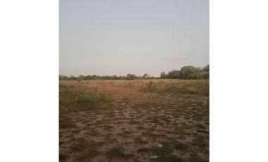 VENDO TERRENO  RIO HATO SUR  CARRETERA HACIA BUENAVENTURA