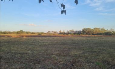 VENDO TERRENO  RIO HATO SUR  CARRETERA HACIA BUENAVENTURA