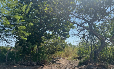 VENDO TERRENO  RIO HATO SUR  CARRETERA HACIA BUENAVENTURA