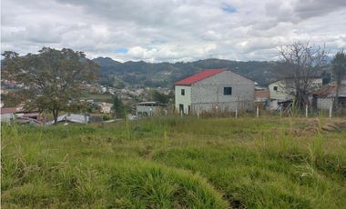 terreno en venta en la via al valle sector san juan loma el valle