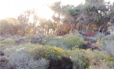 Vendo Hermosa Parcela 5200m2 Condominio Ensenada Los Vilos