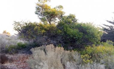 Vendo Hermosa Parcela 5200m2 Condominio Ensenada Los Vilos