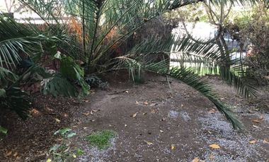 ESTADIO ISRAELITA, HOPITAL FACH, BOCACCIO