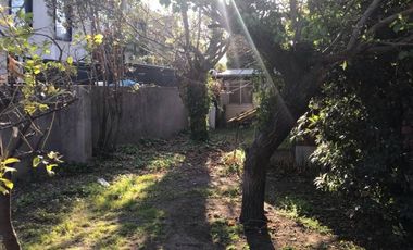 ESTADIO ISRAELITA, HOPITAL FACH, BOCACCIO