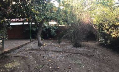 ESTADIO ISRAELITA, HOPITAL FACH, BOCACCIO