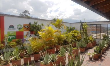 VENTA  BODEGA