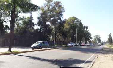 CASA IDEAL DESARROLLO- SOBRE 202 ESQUINA VELAZQUEZ