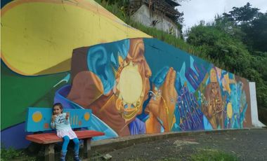 Se vende Finca en Dosquebradas por Playa Rica