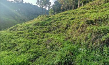 Se vende Finca en Dosquebradas por Playa Rica