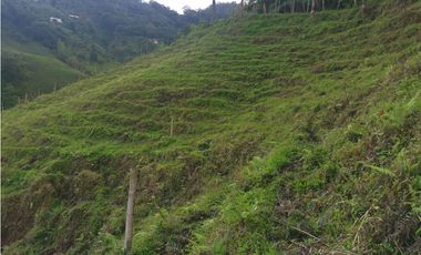Se vende Finca en Dosquebradas por Playa Rica