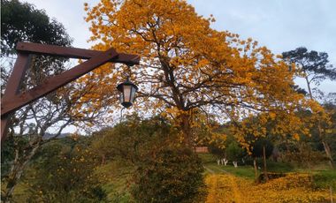 Se vende Finca en Dosquebradas por Playa Rica