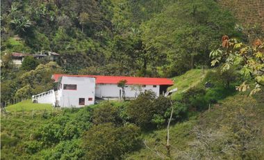 Se vende Finca en Dosquebradas por Playa Rica