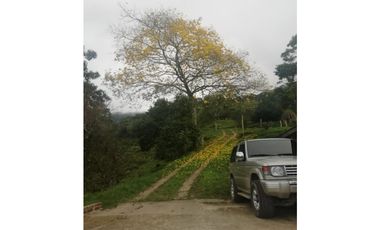 Se vende Finca en Dosquebradas por Playa Rica