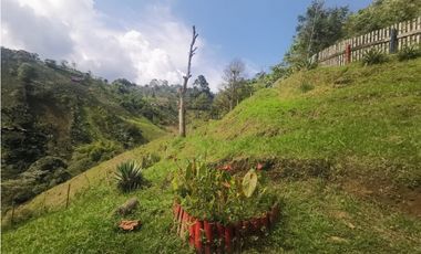 Se vende Finca en Dosquebradas por Playa Rica