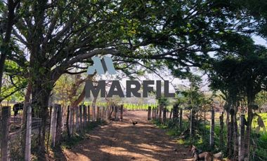 Rancho en Venta para Agricultura o Ganadería en Juluapan, Colima