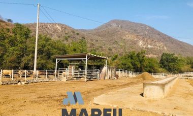 Rancho en Venta para Agricultura o Ganadería en Juluapan, Colima